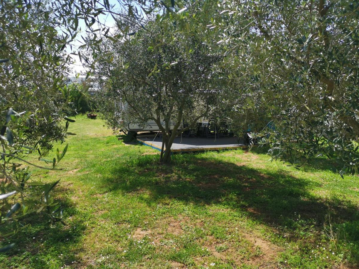 Large Camper In The Olive Grove Hotel Banjole Ngoại thất bức ảnh